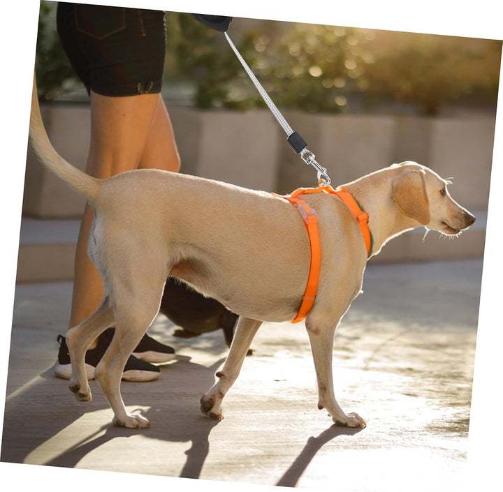 Garneck Automatische Hundeleine - 1.4m Einziehbare Leine Für Kleine Und Grosse Hunde - Strapazierfäh