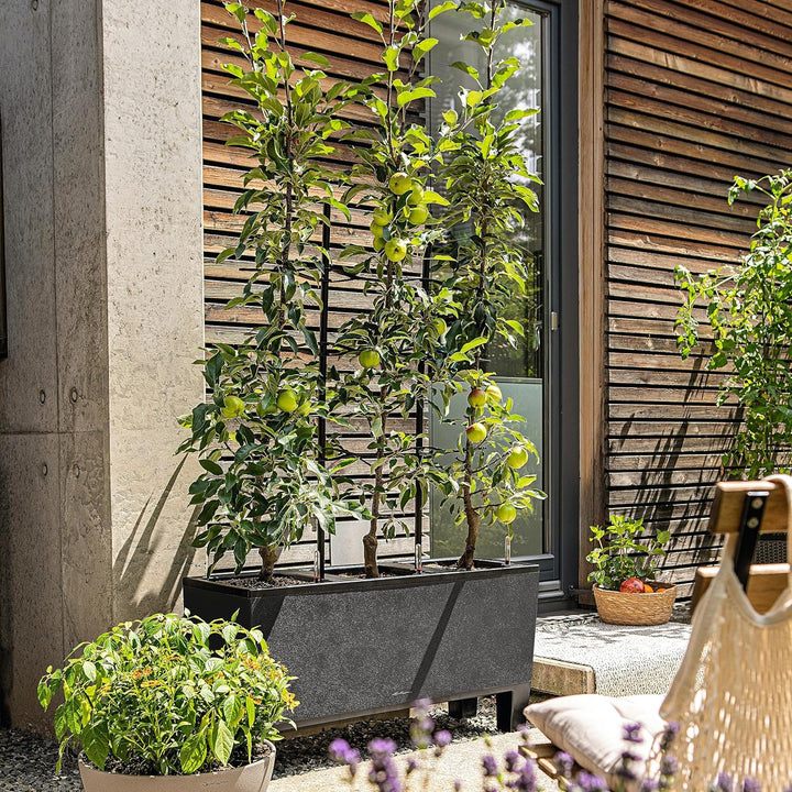 LECHUZA TRIO Stone 40 graphitschwarz 15056 129.5x42x44 cm Graphitschwarz, 129.5x42x44 cm Graphitschw