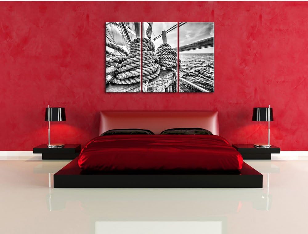 Pixxprint Tau auf einem Schiff 3Teiler 120x80 cm Leinwandbild Wandbild Kunstdruck