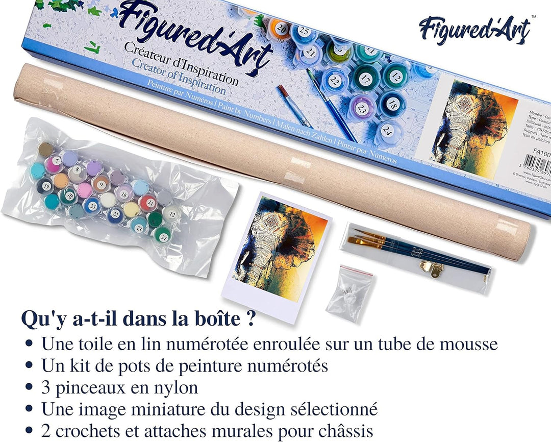 Figured'Art Malen Nach Zahlen Erwachsene Asiatischer Elefant - Paint by Numbers Basteln DIY Bastelse