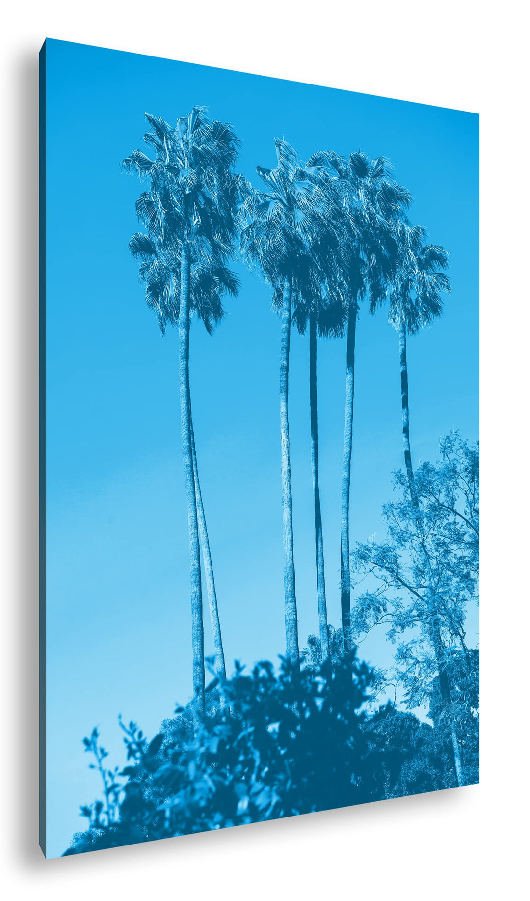 deyoli gigantische Tropische Palmen Format 80x60 Effekt: Monocrome Blau als Leinwandbild, Motiv fert