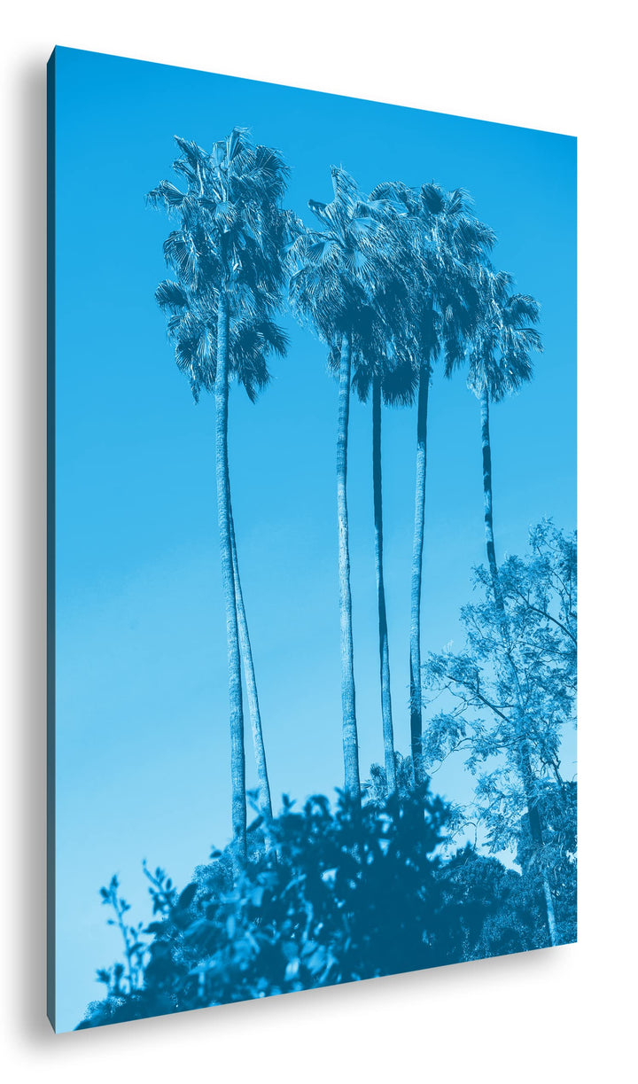 deyoli gigantische Tropische Palmen Format 100x70 Effekt: Monocrome Blau als Leinwandbild, Motiv fer