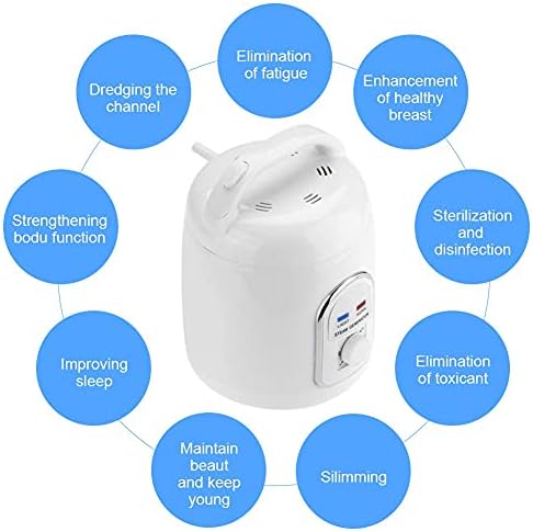 Zerodis Sauna Dampfer Dampfgerät Dampfsauna Dampfmaschine Hautpflege 220V 1.8L Haus Tragbar(220V)