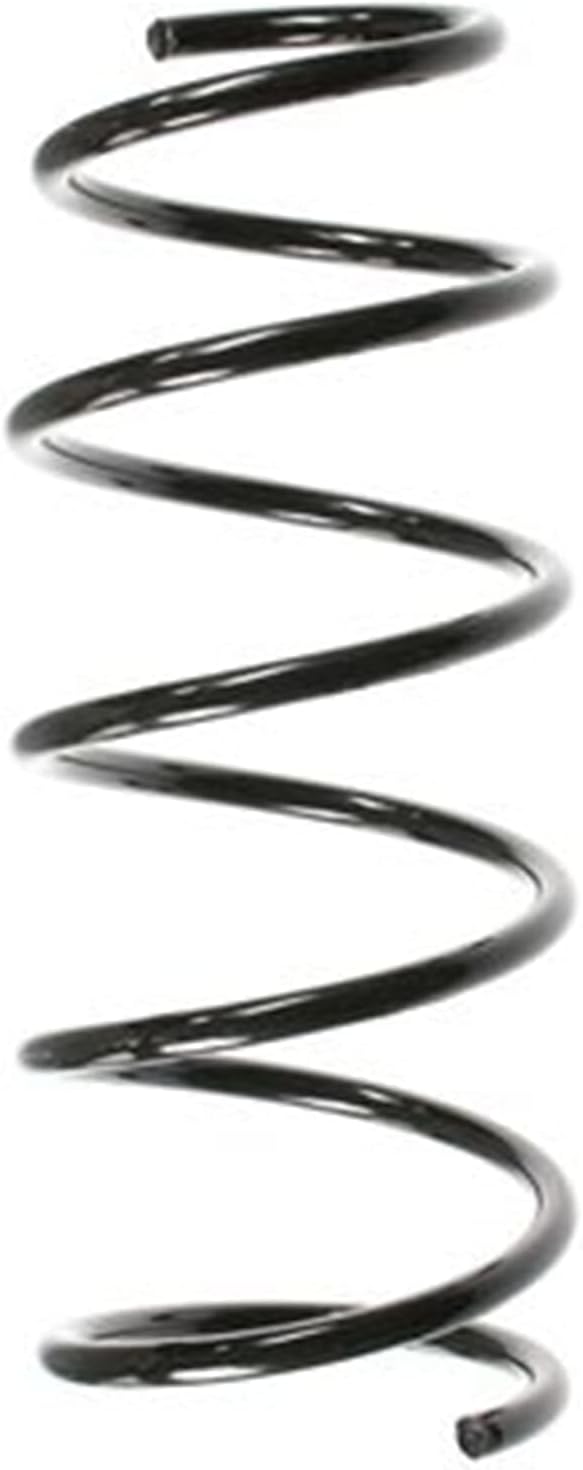 SPIDAN 49790 Fahrwerksfeder