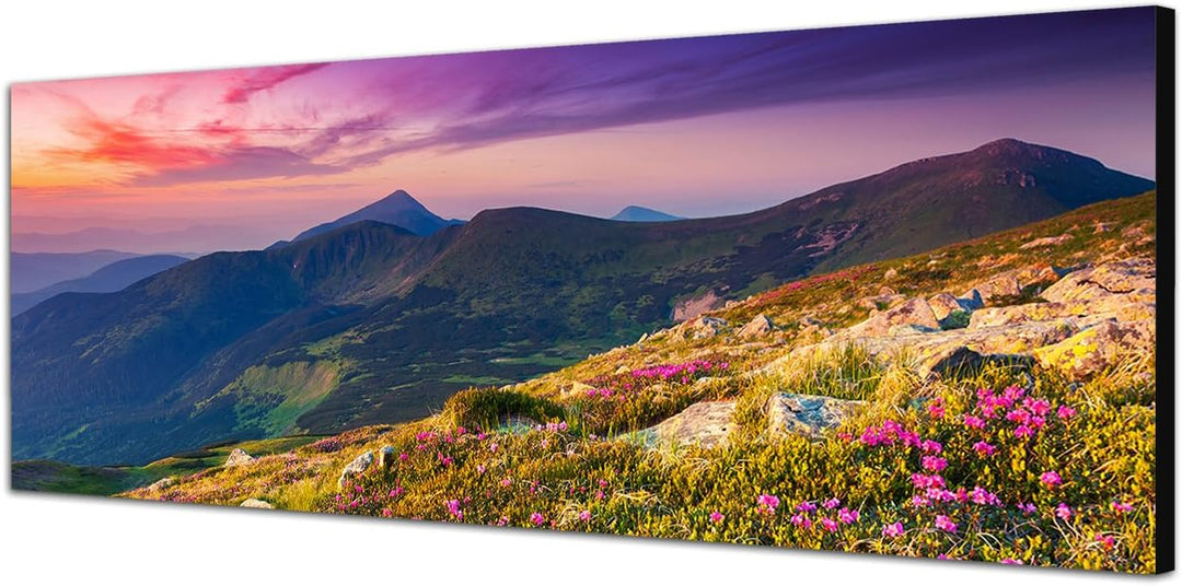 Paul Sinus Art Panoramabild auf Leinwand und Keilrahmen 150x50cm Ukraine Berge Blumenwiese Abendrot