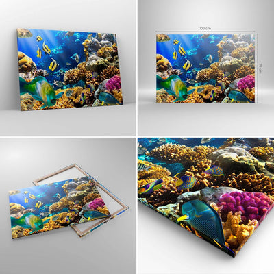 Bilder auf Leinwand 100x70cm Leinwandbild Korallenriff Ozean Krabbe Fisch Gross Wanddeko Bild Schlaf