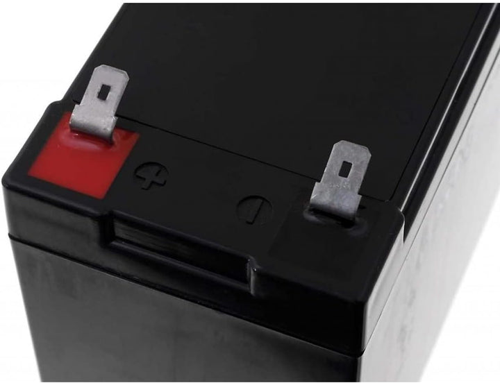 Fiamm Ersatzakku für USV APC Back-UPS ES550, 12V, Lead-Acid