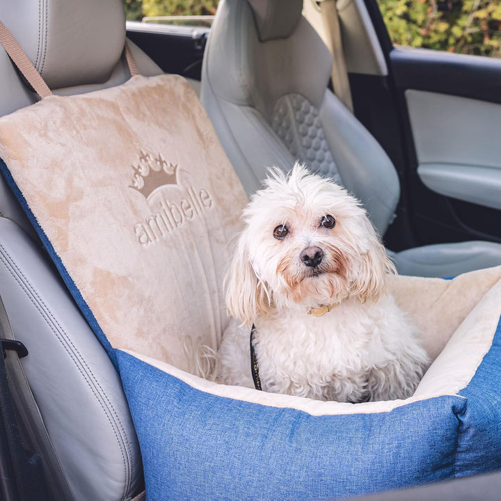 Luxuriös Hunde Auto Sitz | Autositz für Hunde, Rückbank, Vordersitz | Universal Waschbar Hundeautosi