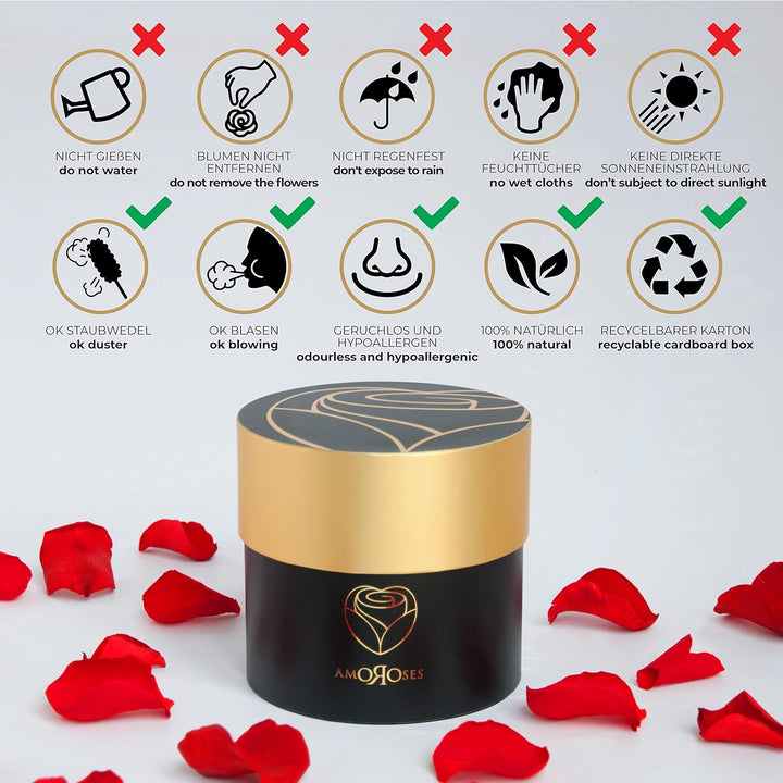 Amoroses Petite - Geschenkbox 5 ewige stabilisierte Rosen - Eleganter Strauss echter Blumen | Gesche