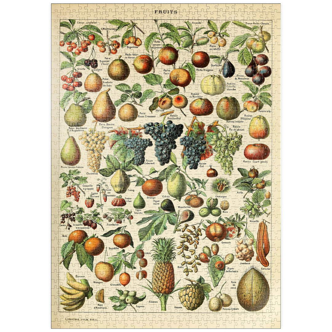 Fructus - Früchte für alle, Vintage Art Poster, Adolphe Millot - Premium 1000 Teile Puzzle - MyPuzzl