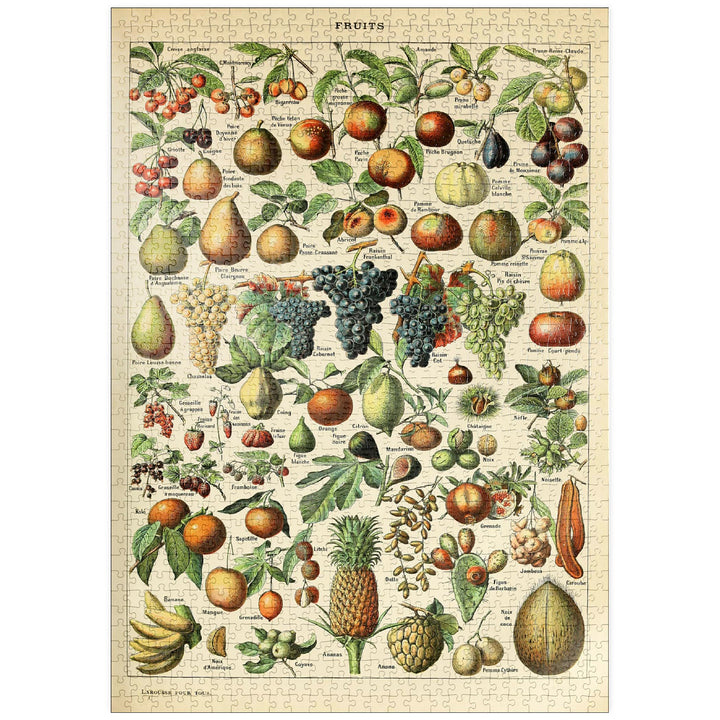 Fructus - Früchte für alle, Vintage Art Poster, Adolphe Millot - Premium 1000 Teile Puzzle - MyPuzzl