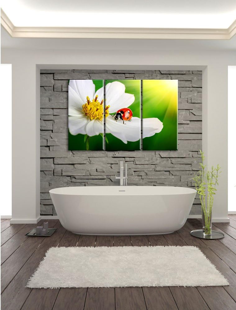 Pixxprint Marienkäfer auf Einer weissen Blume als Leinwandbild/Grösse: 3 Teilig (120x80) / Wandbild/
