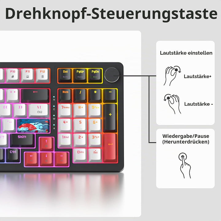 SOLIDEE Verkabelte 95% Mechanische Gaming-Tastatur,Hot-Swap-Fähige Mechanische Tastatur,Gasket Struk