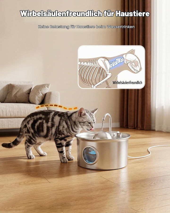 Katzenbrunnen Edelstahl Trinkbrunnen für Katze: Katzen Trinkbrunnen - 2.6L Wasserbrunnen für Katzen