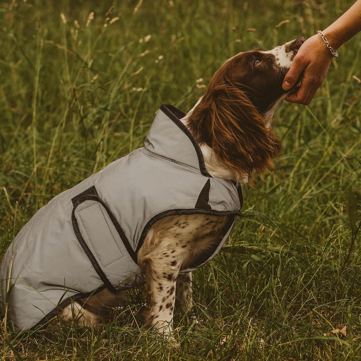 Weatherbeeta Comfitec Reflektierender Hundemantel - Silber 60cm, 60 cm Silber