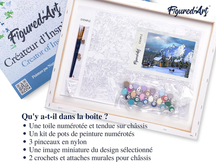 Figured'Art Malen Nach Zahlen Erwachsene Mit Rahmen Winter in den Alpen - Paint by Numbers Basteln D