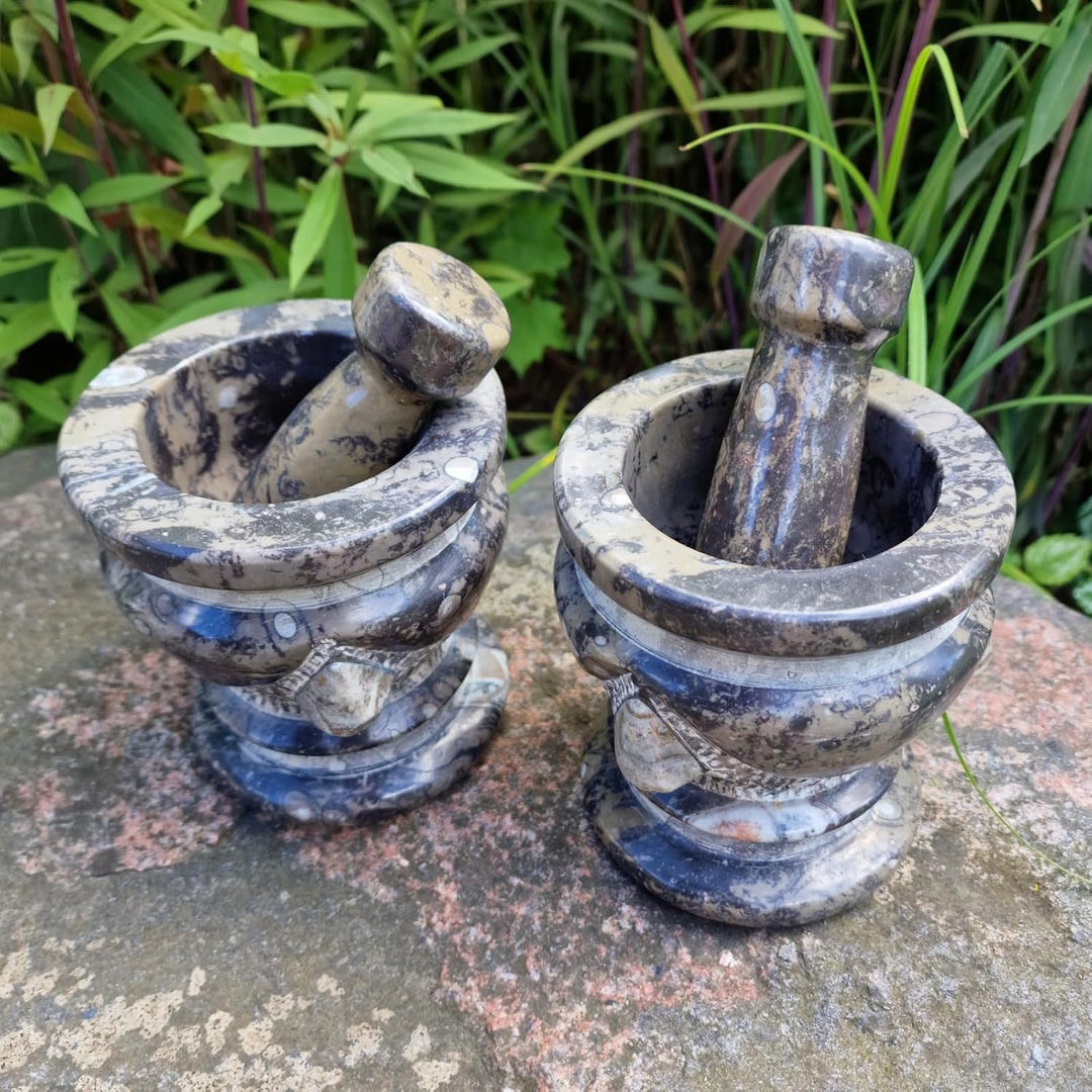 Budawi® Orthoceras Gewürz Mörser mit Stössel – Handgefertigter Küchenmörser aus Naturstein – Fossile