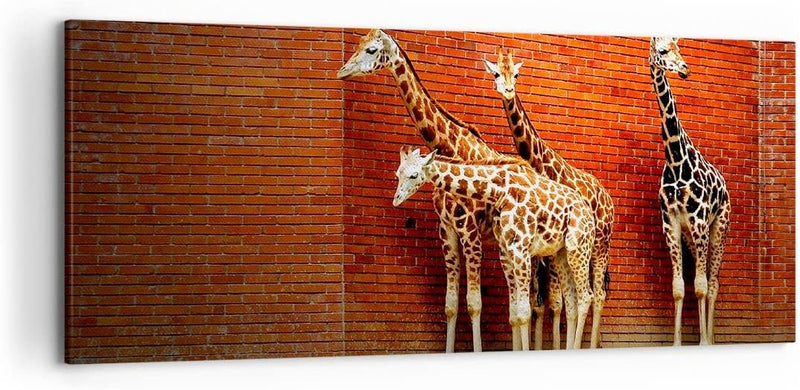 Wandbilder Dekoration Wohnzimmer Tiere Giraffen Zoo Familie Panorama Bilder auf Leinwand 120x50cm Le