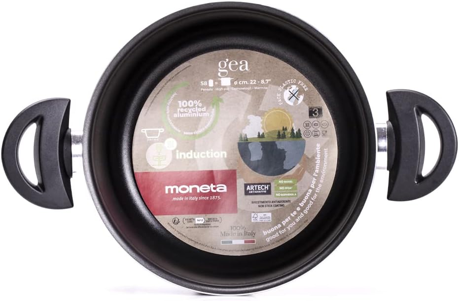 Moneta Gea Topf mit 2 Griffen, 22 cm, Aluminium, 100% recycelt, für jede Kochplatte inklusive Indukt