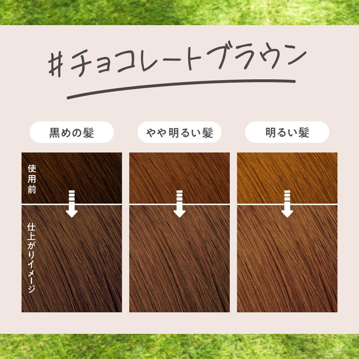 Liese Kao Bubble Hair Color - Chocolate Brown for Black Hair