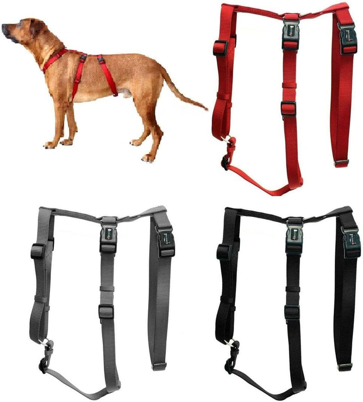 Hundegeschirr ausbruchsicher Professional No Escape, M: 40-50cm rot M 40 - 50 cm rot, M 40 - 50 cm r
