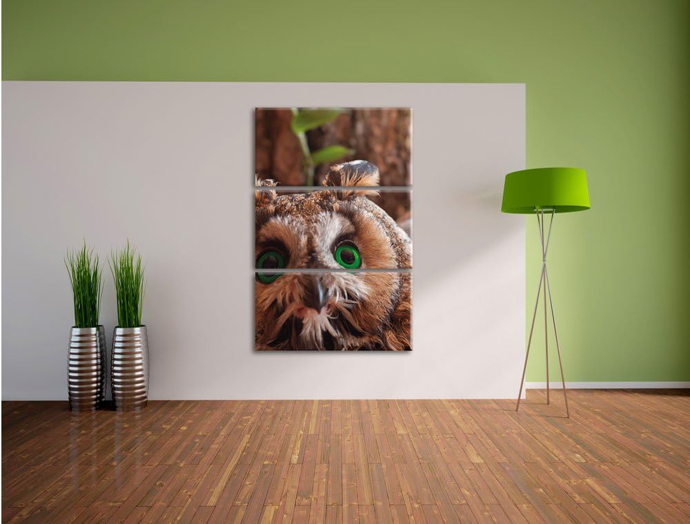 Pixxprint Kleine Eule grüne Augen als Leinwandbild/Grösse: 3 Teilig (120x80) cm/Wandbild/Kunstdruck/