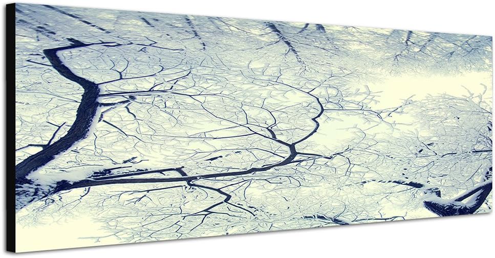 Paul Sinus Art Panoramabild auf Leinwand und Keilrahmen 150x50cm Wald Bäume Schnee Winter