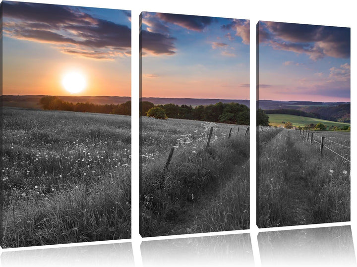 Pixxprint Bergwiese im Sonnenaufgang als Leinwandbild/Grösse: 3 Teilig (120x80) cm/Wandbild/Kunstdru