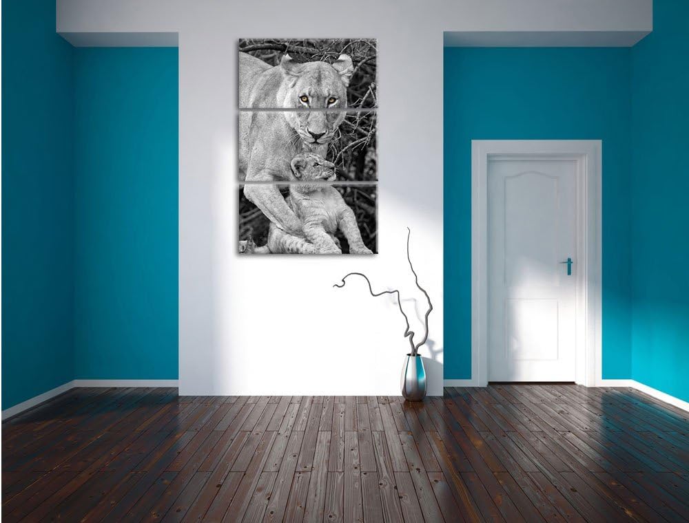 Pixxprint liebevolle Löwin spielt mit Jungtier schwarz/weiss 3-Teiler Leinwandbild 120x80 Bild auf L