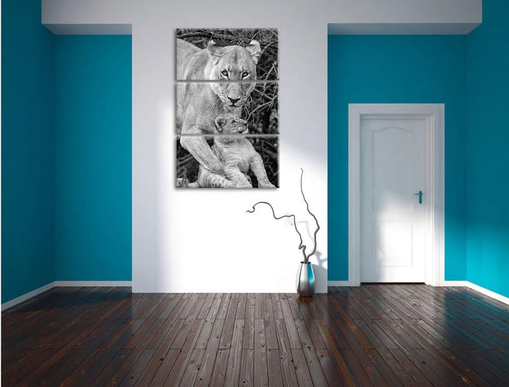 Pixxprint liebevolle Löwin spielt mit Jungtier schwarz/weiss 3-Teiler Leinwandbild 120x80 Bild auf L