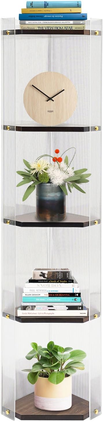 Regal 5 Etagen 120cm Acryl Kiefer Klar Walnuss Standregal | Acryl Kiefer lackiert 10kg Tragkraft pro