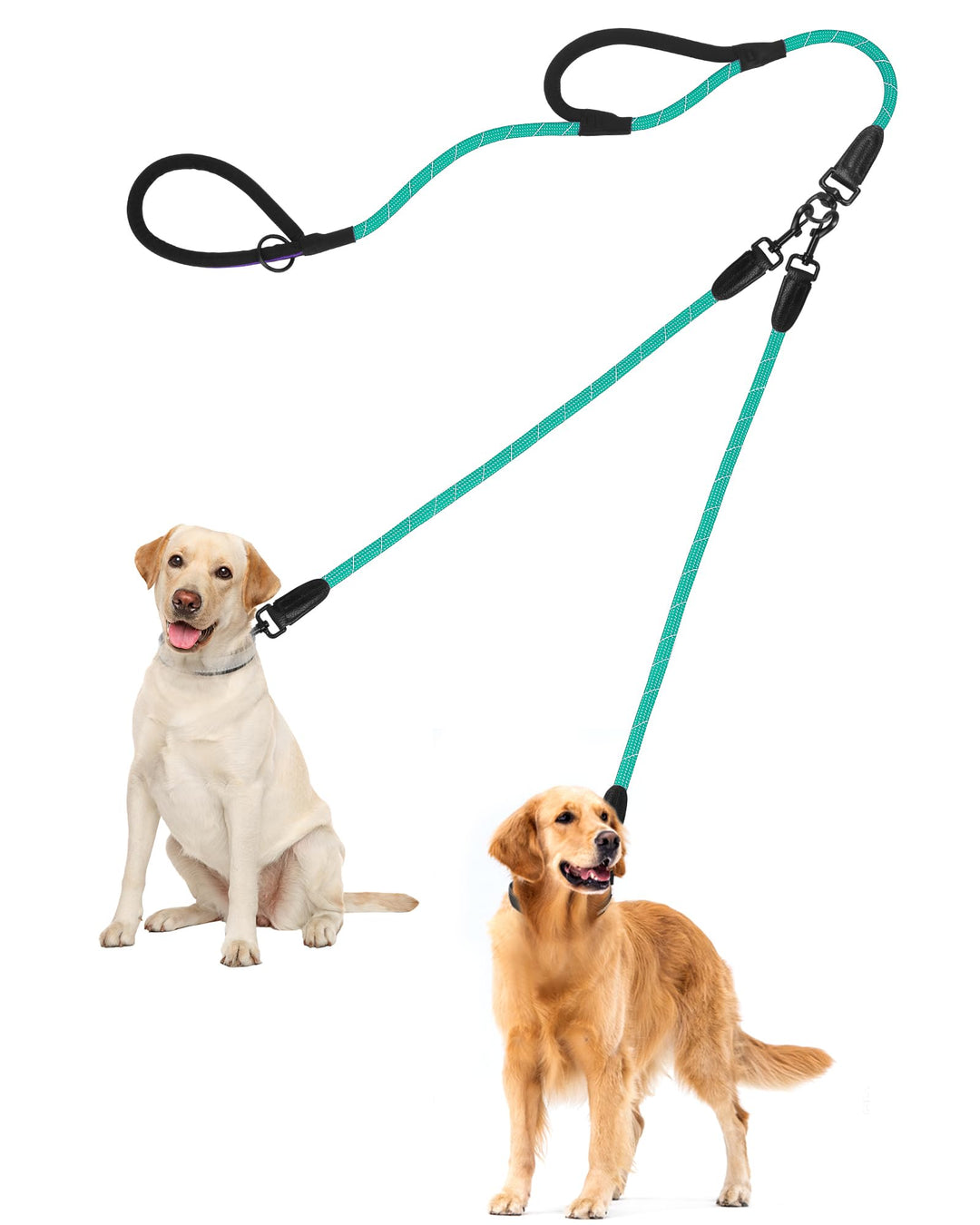 PetBonus Hundeleine Doppelleine für 2 Hunde, Keine Verwicklung Trainingsleine mit Zwei Gepolsterten