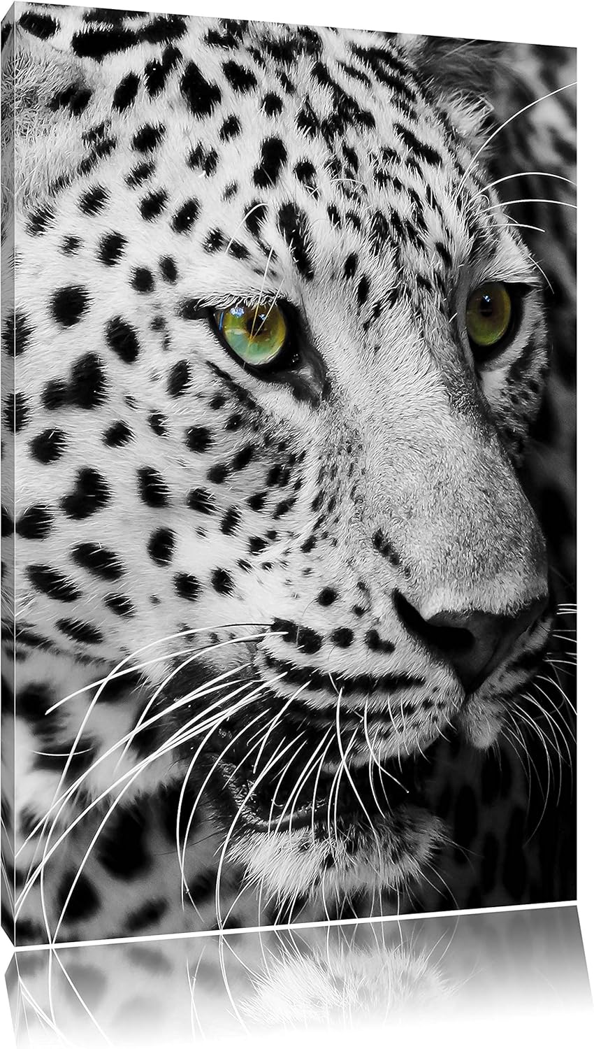 Pixxprint Dark Leopard mit grünen Augen als Leinwandbild/Grösse: 100x70 / Wandbild/Kunstdruck/fertig