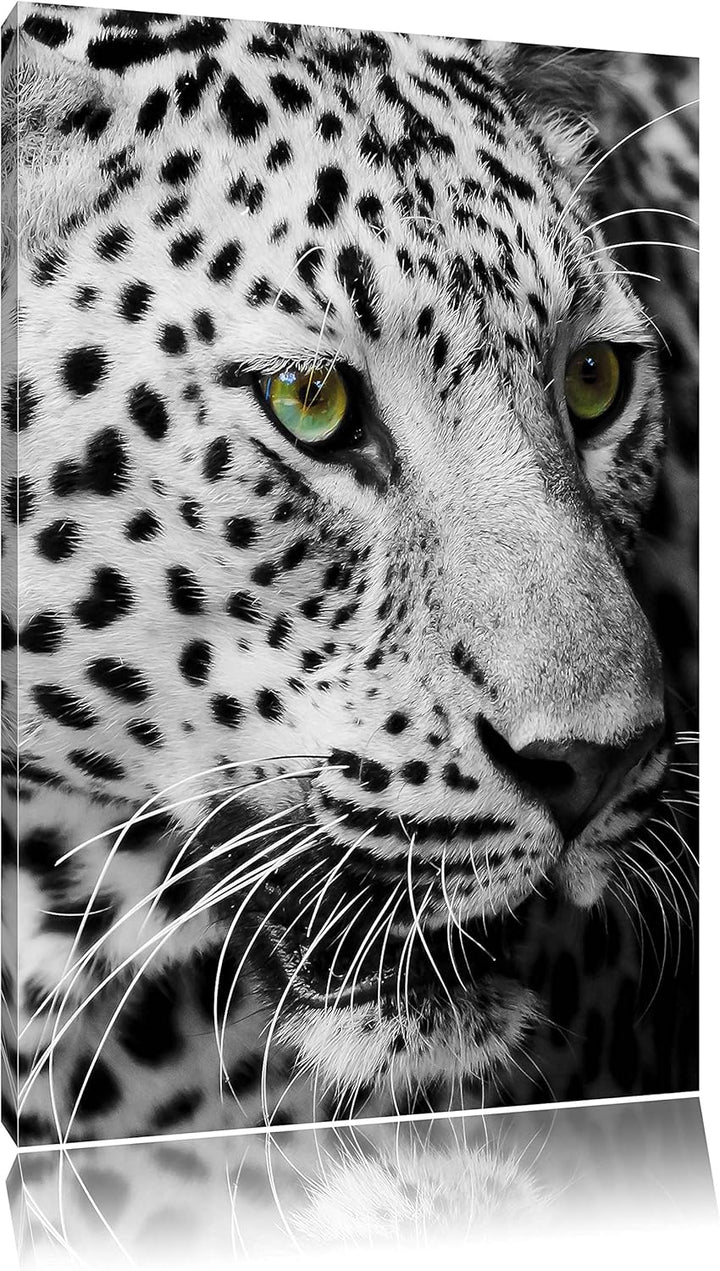 Pixxprint Dark Leopard mit grünen Augen als Leinwandbild/Grösse: 120x80 cm/Wandbild/Kunstdruck/ferti