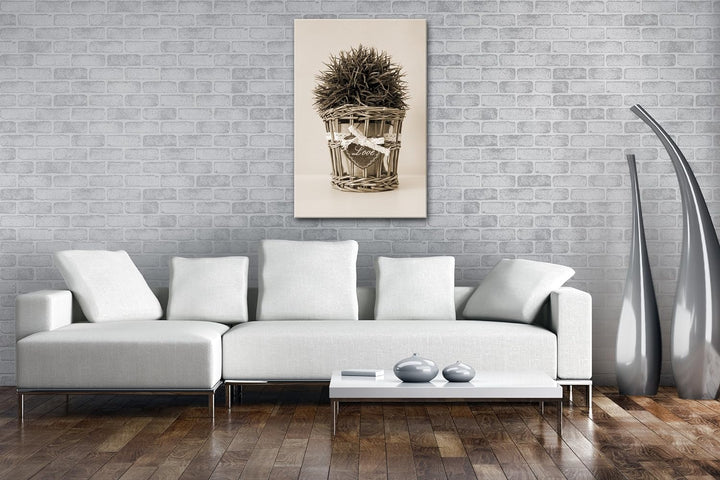 deyoli Schilf im Blumentopf Format: 80x60 Effekt: Sepia als Leinwandbild, Motiv fertig gerahmt auf E
