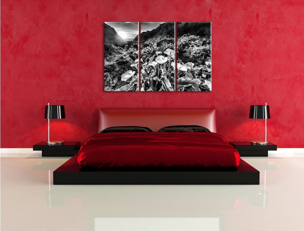 Pixxprint Blumenwiese in den Bergen als Leinwandbild/Grösse: 3 Teilig (120x80) / Wandbild/Kunstdruck