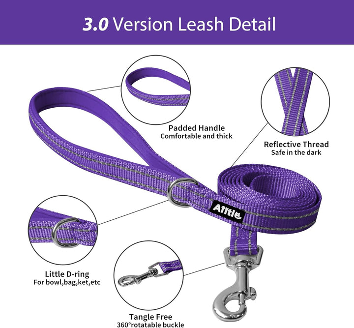 AIITLE Bequemes Hundegeschirr und Leine Set zum Gassi gehen - Step in Vest Harness, Reflektierende B
