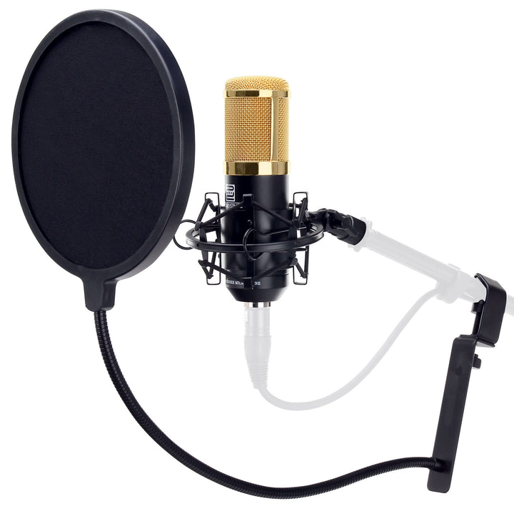 Pronomic CM-100BG Studio Grossmembranmikrofon XLR-Kondensatormikrofon inkl. Popkiller Set (mit Mikro