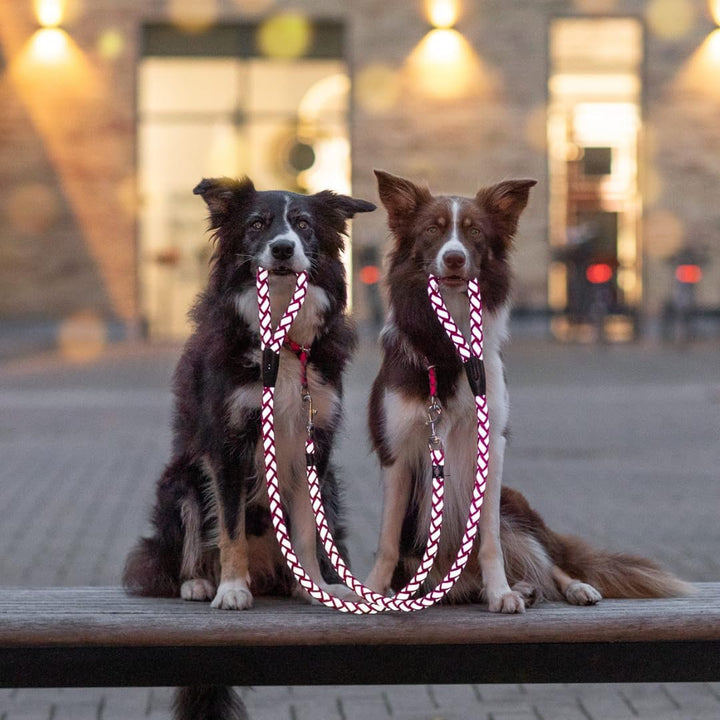 TRIXIE Hundeleine Cavo V-Leine S–M, 2,00 m ø 12 mm in fuchsia/grafit - verstellbare Leine für Outdoo