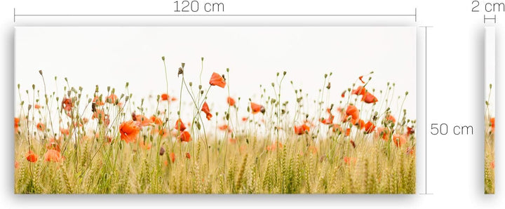 ge Bildet Bild auf Leinwand | Mohnfeld in 120x50 cm als Panorama Wandbild XXL | Wand-deko Dekoration