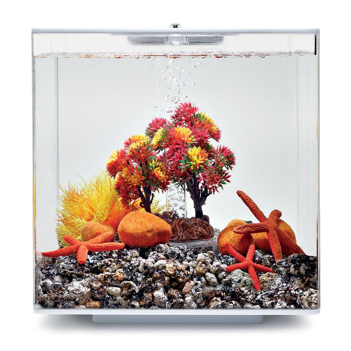 biOrb 55024 Decor Set 15L Herbst - herbstliches, farbenfrohes Aquarien-Dekor / geeignet für 15 l biO
