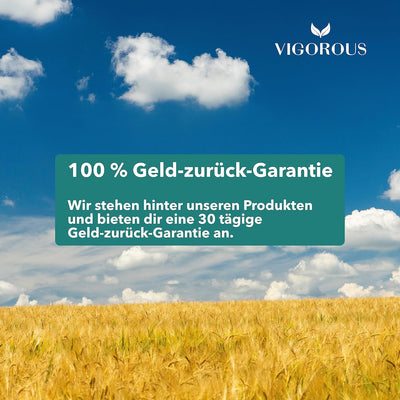 VIGOROUS® 150 Stk. nachhaltige Zahnseide Sticks - Zahnsticks für Zahnreinigung - vegane Zahnseidenha