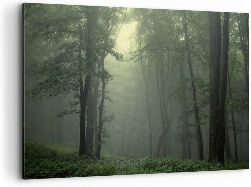 Bilder auf Leinwand 100x70cm Leinwandbild mit Rahmen Wald Nebel Baum Gross Wanddeko Bild Schlafzimme