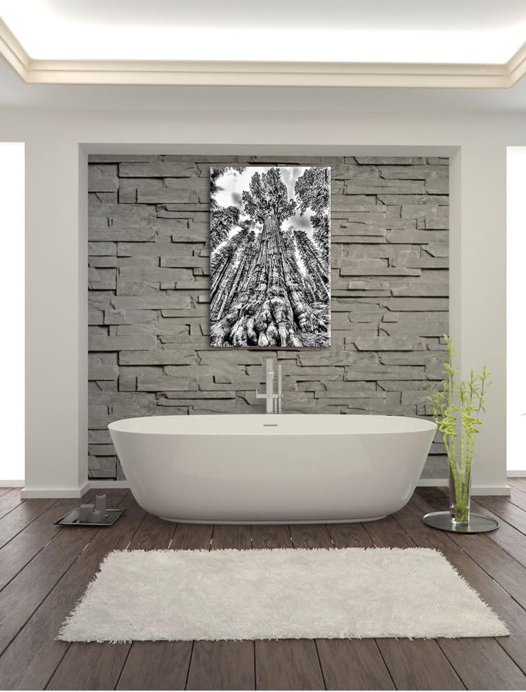 Pixxprint Monocrome, Wald Riesenbaum Regenwald Nebel, Format: 100x70 auf Leinwand, XXL riesige Bilde