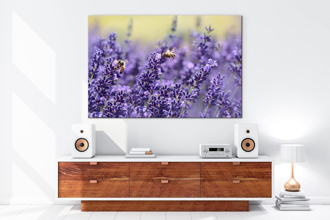 deyoli Bienen im blühenden Lavendel Format:90x60 cm als Leinwandbild, Motiv fertig gerahmt auf Echth