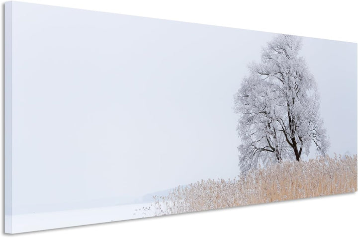 Sinus Art Wandbild 150x50cm Landschaftsfotografie – Einsamer Baum am See auf Leinwand für Wohnzimmer