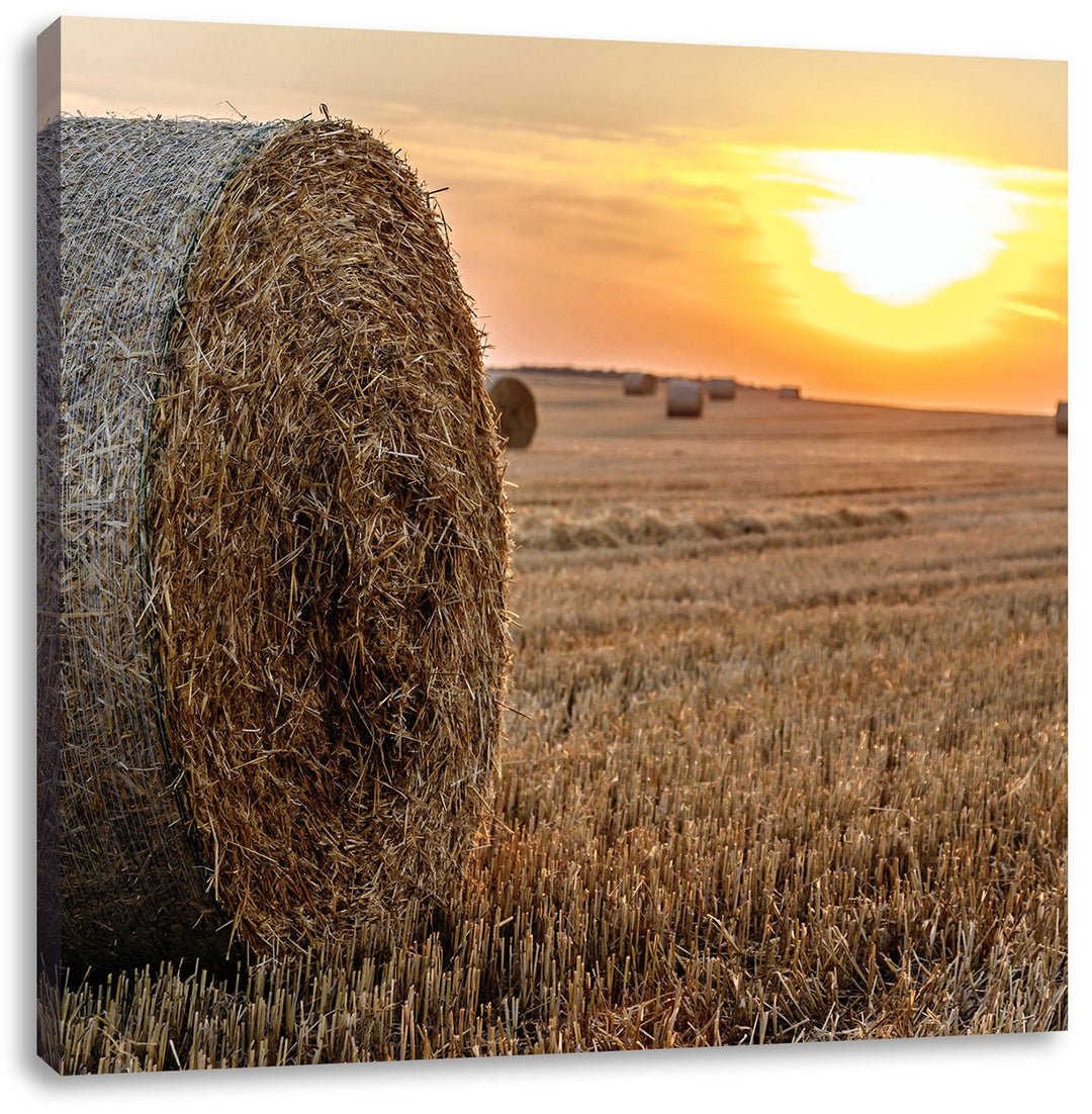 Strohballen auf Feld, Format: 70x70 auf Leinwand, XXL riesige Bilder fertig gerahmt mit Keilrahmen,