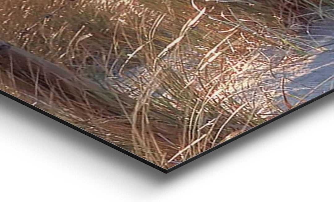 REINDERS Dünenweg Wandbild - MDF - 156 x 52 cm - Khaki