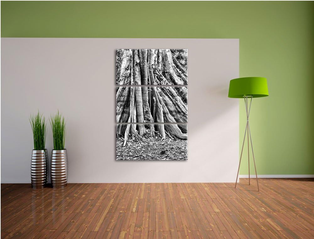 Pixxprint Mächtiger Urwald Baum als Leinwandbild/Grösse: 3 Teilig (120x80) cm/Wandbild/Kunstdruck/fe