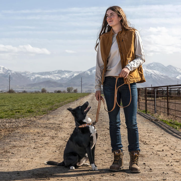 Carhartt Leine mit Zwei Griffen, strapazierfähiges 600-Denier-Gewebe mit verstellbaren D-Ring-Metall